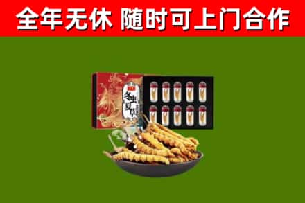 盘锦市烟酒回收冬虫夏草礼盒.jpg